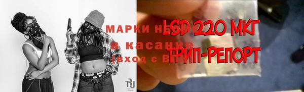индика Ступино